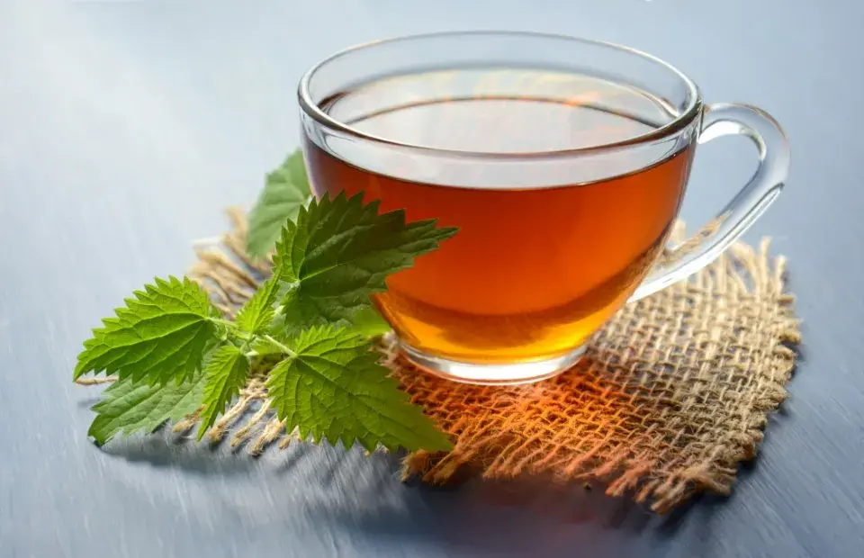 6  Assam Tea Benefits You Should Leverage as a Tea Lover