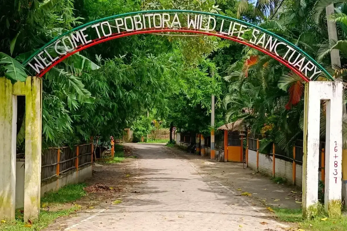 Pobitora Wildlife Sanctuary