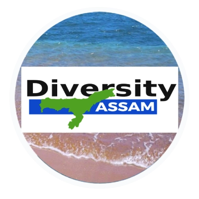 Diversity Assam Avatar