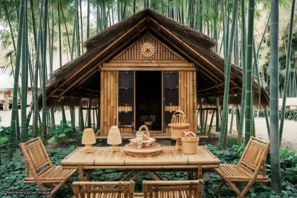Assam Bamboo Industry